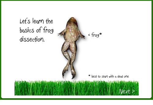 How to PowerPoint - Frog dissection demo